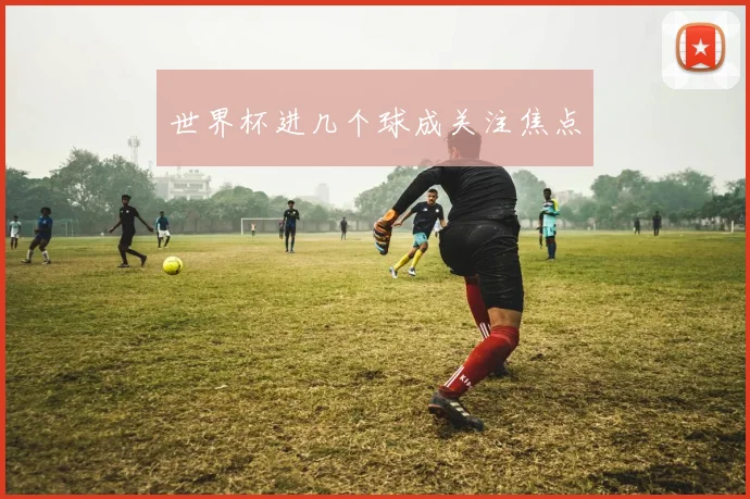 世界杯进几个球成关注焦点