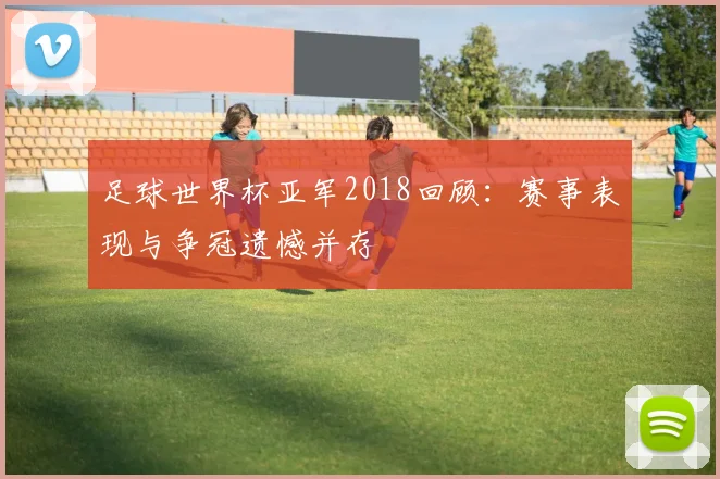 足球世界杯亚军2018回顾：赛事表现与争冠遗憾并存