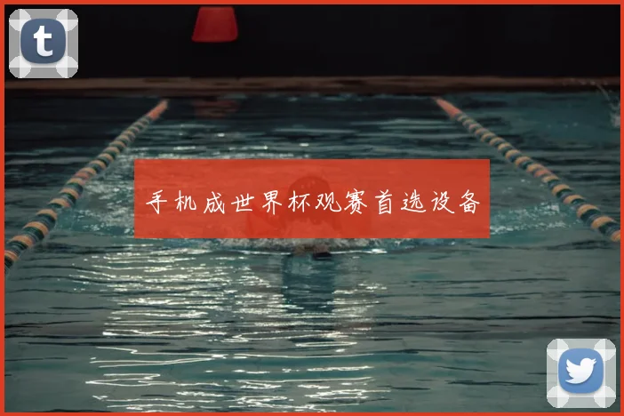 手机成世界杯观赛首选设备