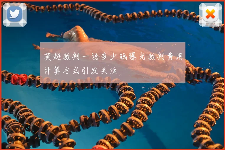 英超裁判一场多少钱曝光裁判费用计算方式引发关注