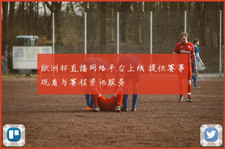 欧洲杯直播网络平台上线 提供赛事观看与赛程资讯服务
