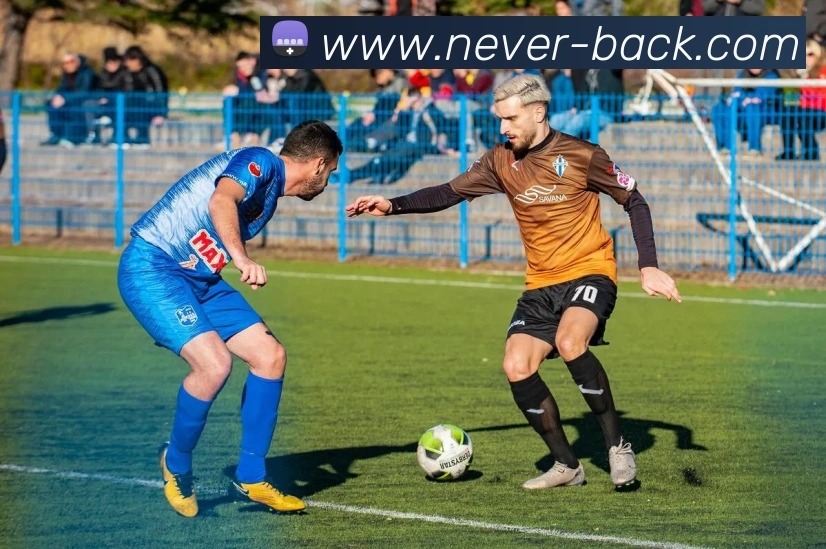 世界杯官网线上平台平台生态图